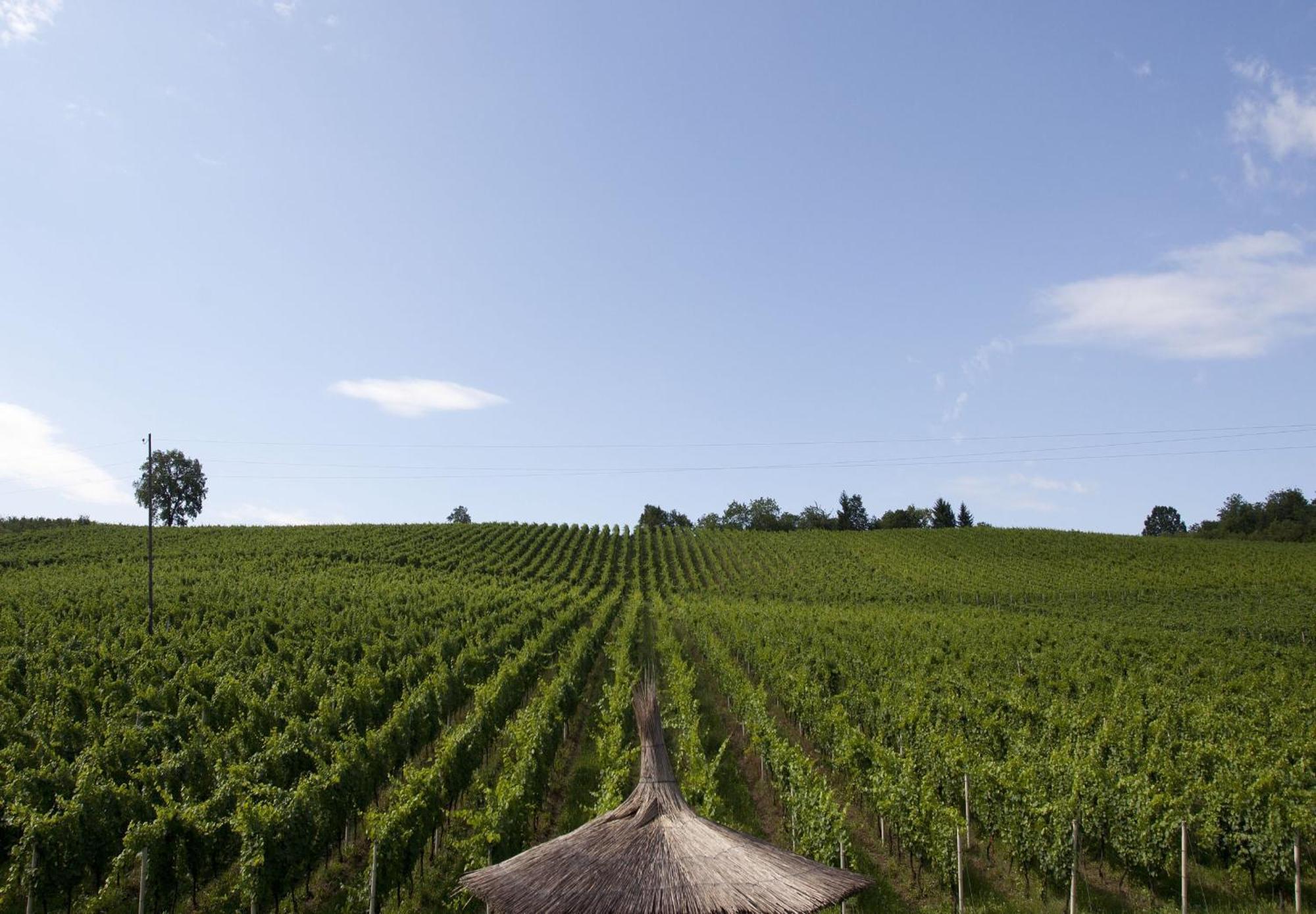 Stupnicki Dvori Winery Hotel Stupnik Brodski Eksteriør billede