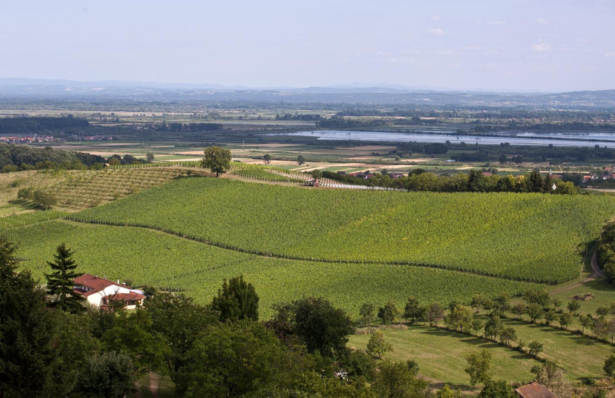 Stupnicki Dvori Winery Hotel Stupnik Brodski Eksteriør billede