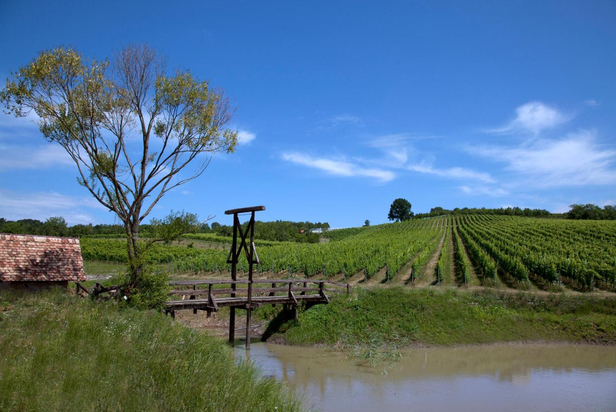 Stupnicki Dvori Winery Hotel Stupnik Brodski Eksteriør billede