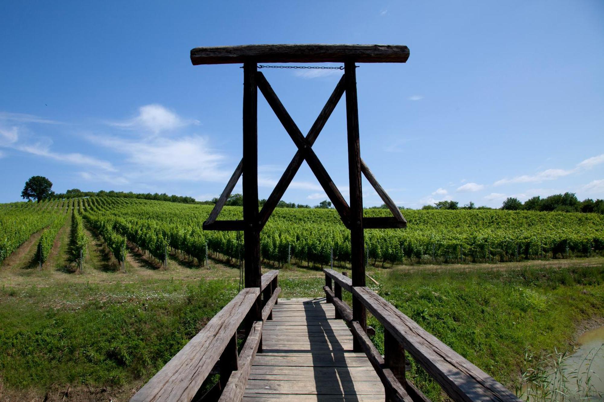 Stupnicki Dvori Winery Hotel Stupnik Brodski Eksteriør billede