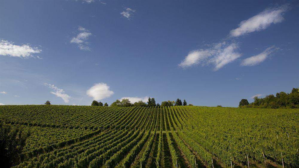 Stupnicki Dvori Winery Hotel Stupnik Brodski Eksteriør billede