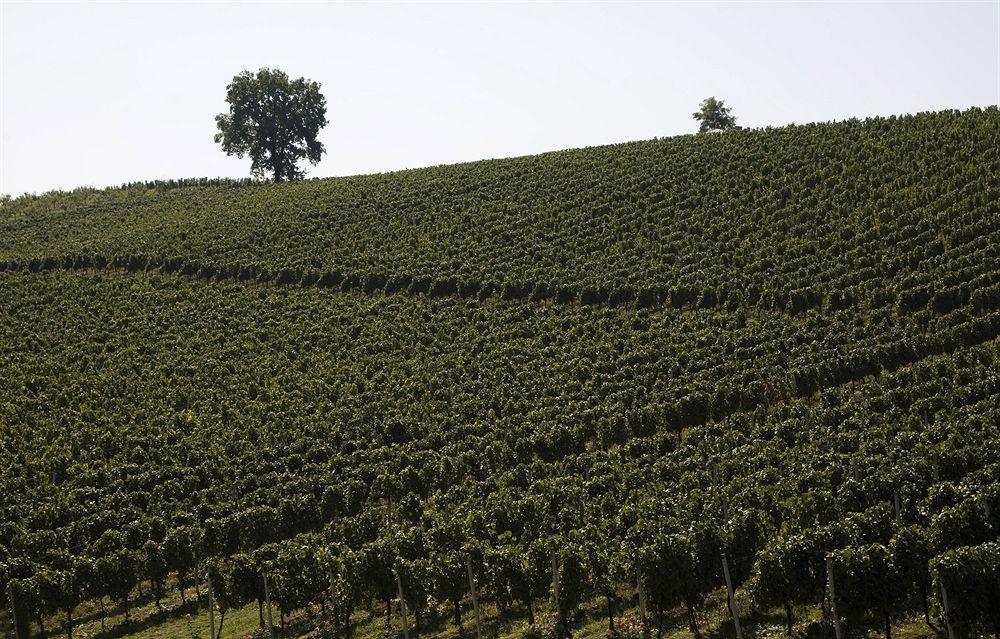 Stupnicki Dvori Winery Hotel Stupnik Brodski Eksteriør billede