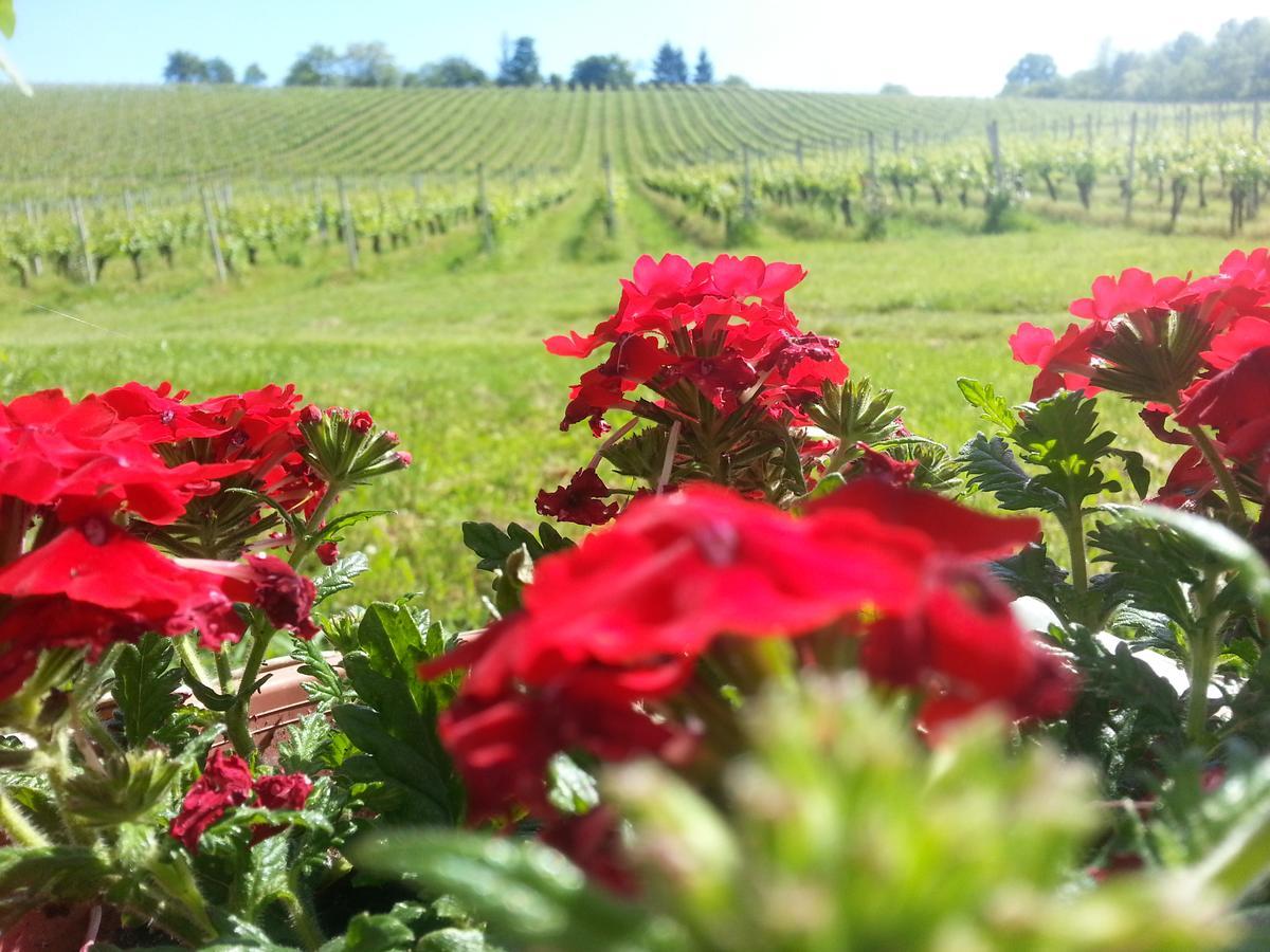 Stupnicki Dvori Winery Hotel Stupnik Brodski Eksteriør billede